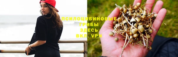 кристаллы Верея