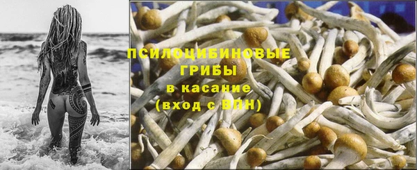 мяу мяу кристалл Бородино