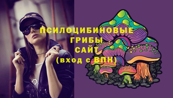 герыч Верхний Тагил