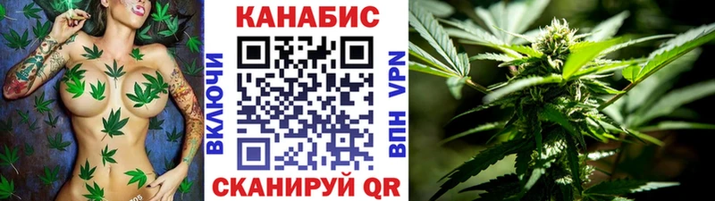 Шишки марихуана планчик  где найти   Одинцово 